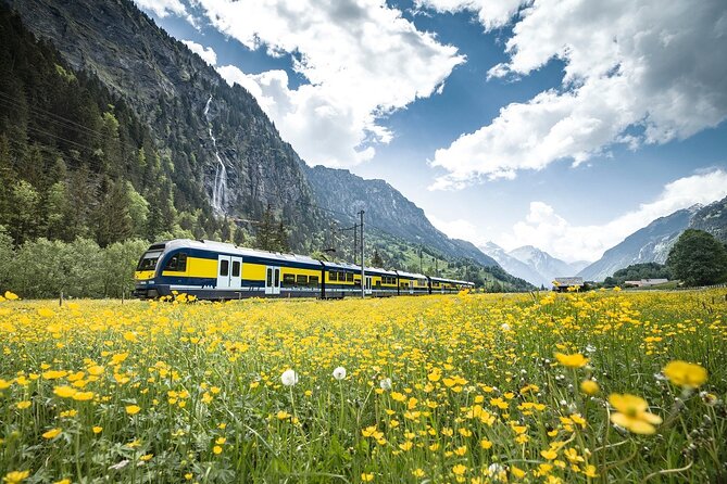 Grindelwald First - Top of Adventure from Zurich - Lunch at Berggasthaus First