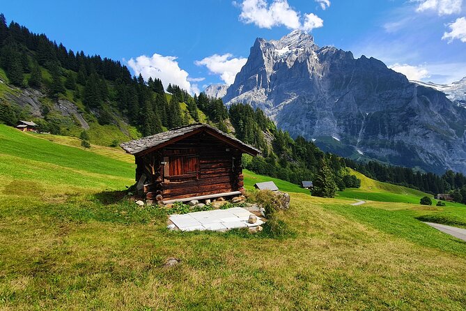 Grindelwald First (Top of Adventure) Ticket incl. Cliff Walk - Optional Activities at First