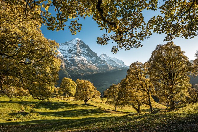 Grindelwald, Interlaken & Lauterbrunnen Day Trip from Zurich - Grindelwald: the day’s main event