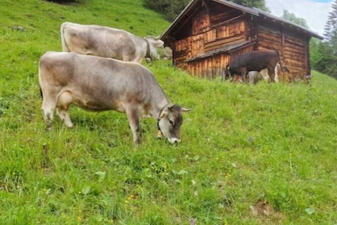 Grindelwald, Lauterbrunnen Lungern Interlaken Semi-Private - Price, inclusions, and the question of value