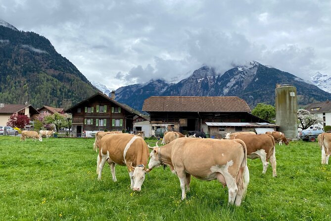 Grindelwald, Lauterbrunnen & Mürren Private Day Trip from Zurich - Grindelwald offers a busier alpine contrast