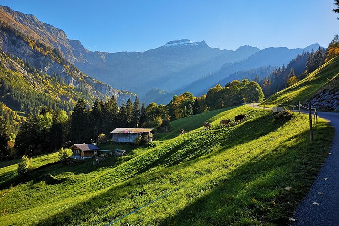 Guided Excursion to Jungfraujoch, Grindelwald and Lauterbrunnen from Lucerne - How much time do you really get at the summit?
