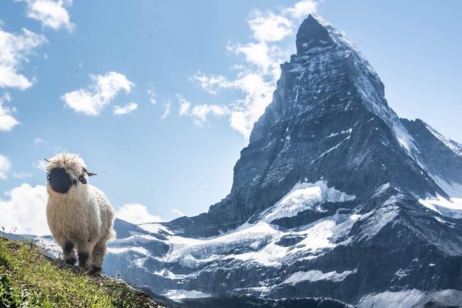 Guided Hiking Half Day in Zermatt - Gornergrat and the view toward the Gorner Glacier