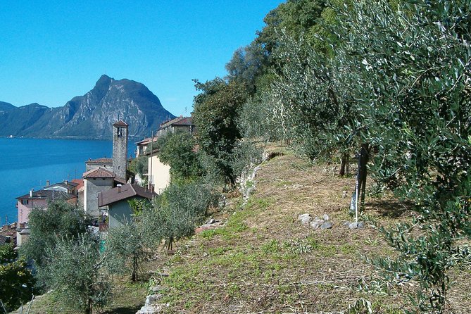 Guided Walk from Lugano to Gandria promoted by Lugano Region - return by boat - Weather, cancellations, and useful planning details