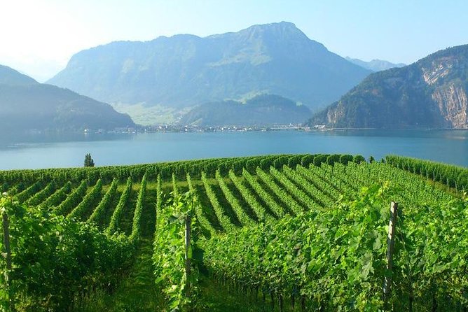 Half-Day Lake Lucerne Country Walk - Leaving Lucerne for a quieter side of Switzerland