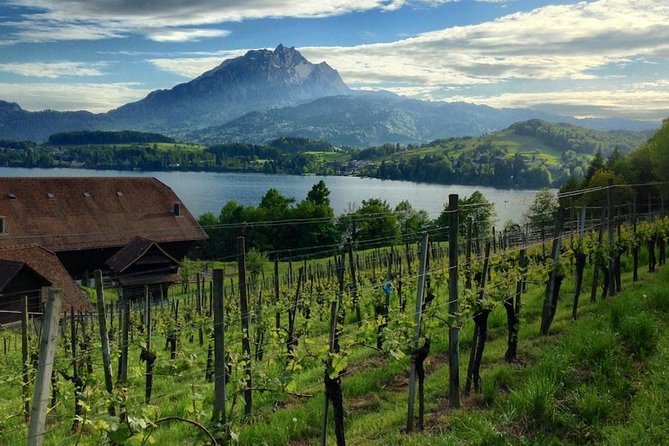 Half-Day Lake Lucerne Country Walk - What you can expect from the countryside route