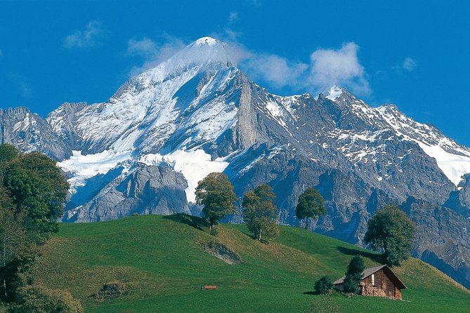 Interlaken and Grindelwald Day Trip from Lucerne - What this Lucerne day trip really offers