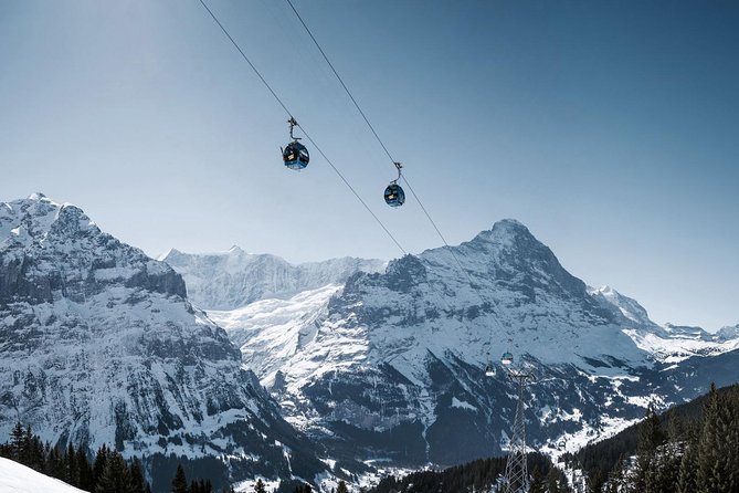 Interlaken and Grindelwald Day Trip from Lucerne - The shared-bus setup can create confusion