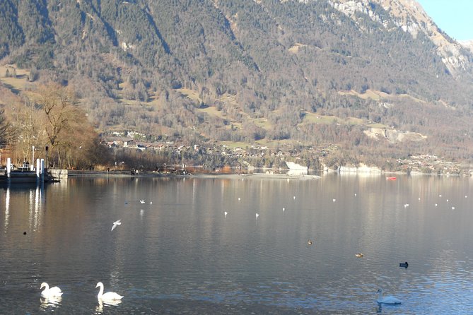 Interlaken Private Tour: Mountains Cows, Thun Lake, and Brienz Lake - Why This Three-Hour Tour Works