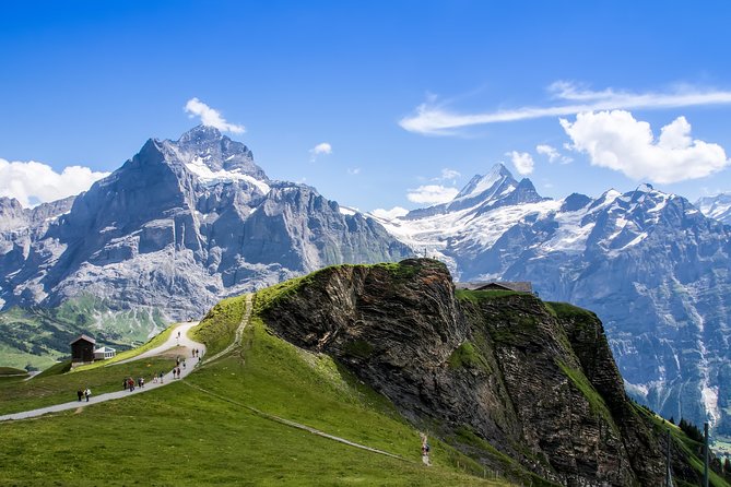 Jungfrau Travel Pass 3-8 days - Schynige Platte for a slower mountain day