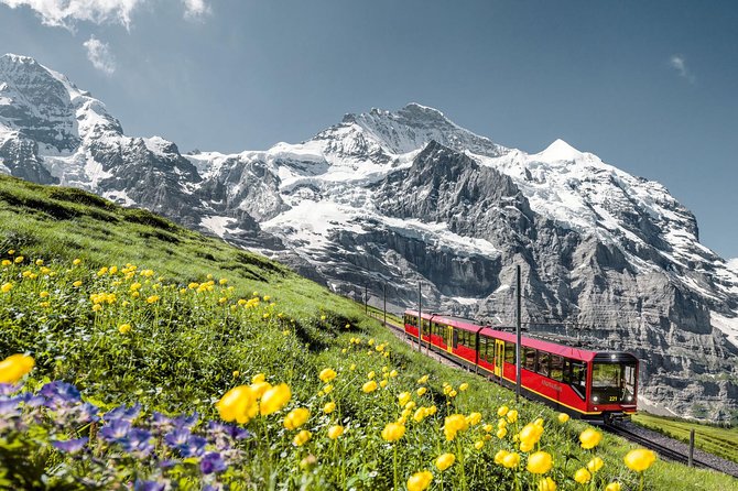 Jungfraujoch: Top of Europe Day Trip from Zurich - Starting from Zurich at 8:30 am