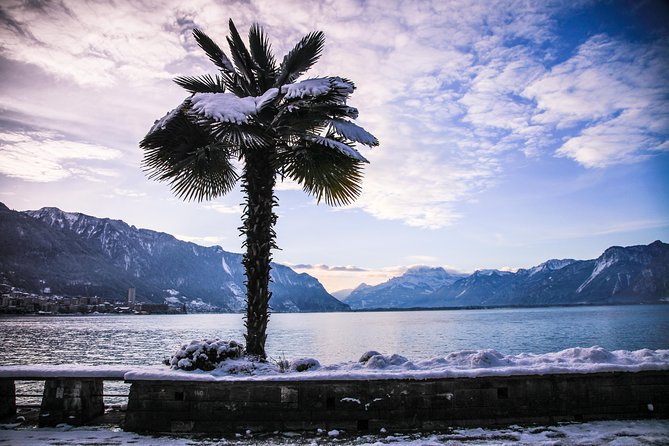 (KTG303) - Winter Montreux, Chillon & Chaplin's World from Geneva - Who should book this day trip?