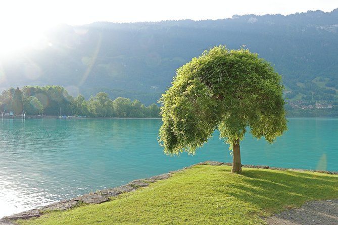 (KTG361) - Interlaken day trip by bus from Geneva - Interlaken: six hours of freedom