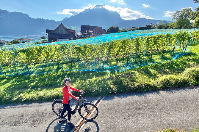 Lake Lucerne Peninsula e-Bike Tour - Key points to know before you book
