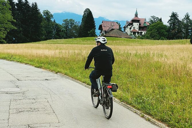 Lake Lucerne Peninsula e-Bike Tour - Group size, guide style, and personal attention