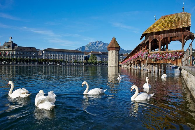Lucerne Day Trip from Zurich Including Lake Lucerne Cruise - What this Lucerne trip really offers