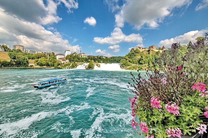 Morning group tour to Rhine falls - Key points to know before you book