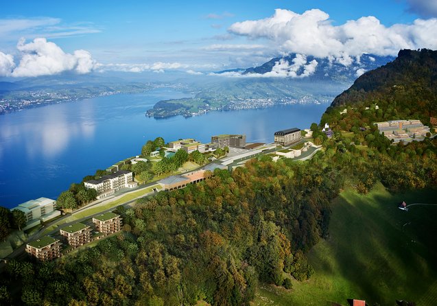 Mount Bürgenstock Independent Tour from Lucerne - The price, flexibility, and what you really receive