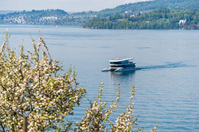 Mount Bürgenstock Independent Tour from Lucerne - Weather, clothing, and practical comfort