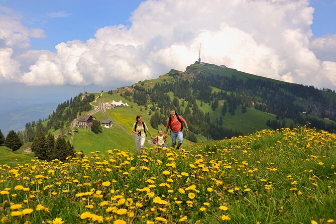 Mount Rigi Day Trip from Lucerne - Descending by cable car to Weggis