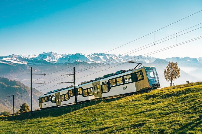 Mount Rigi Day Trip from Lucerne - Cruising from Lucerne to Vitznau