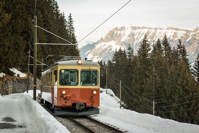 Mountain Majesty: Small Group Tour to Lauterbrunnen and Mürren - The gondola to Grütschalp changes the whole view