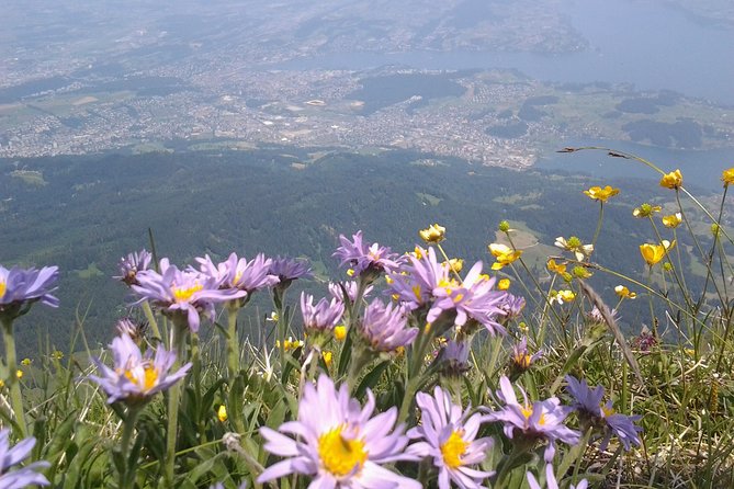 Mt. Pilatus Golden Roundtrip Private Day Trip from Luzern - What $617.76 per person really buys