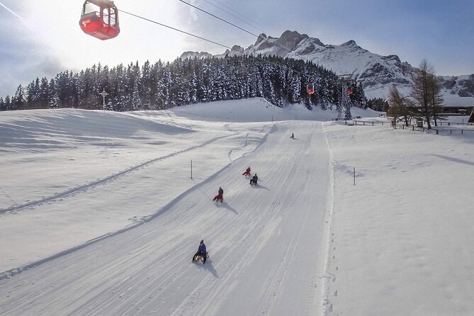 Mt. Pilatus Gondola and Aerial Cableway Ticket from Kriens - Who will enjoy this Mt. Pilatus outing?