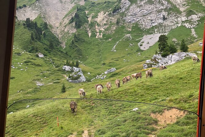 Mt. Pilatus with Lake of Lucerne Cruise Private Tour from Lucerne - Lake Lucerne from the water