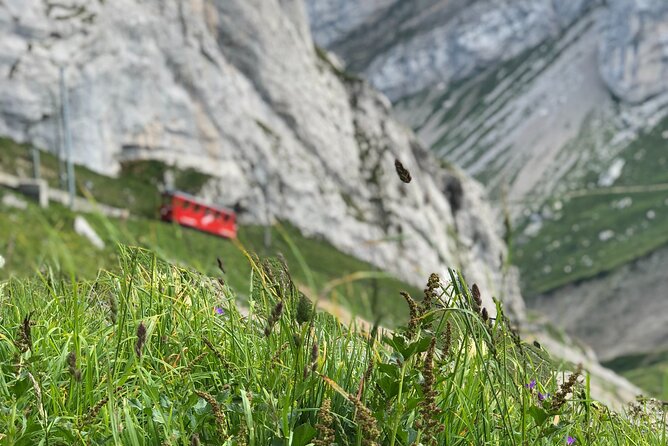 Mt. Pilatus with Lake of Lucerne Cruise Private Tour from Lucerne - What a private guide adds