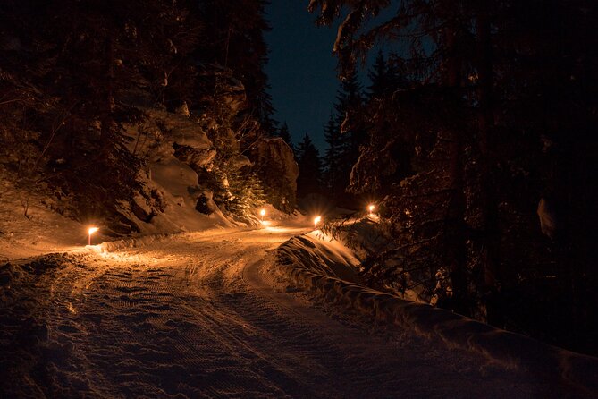 Night Sledding from Interlaken - Is $131.18 a fair price?