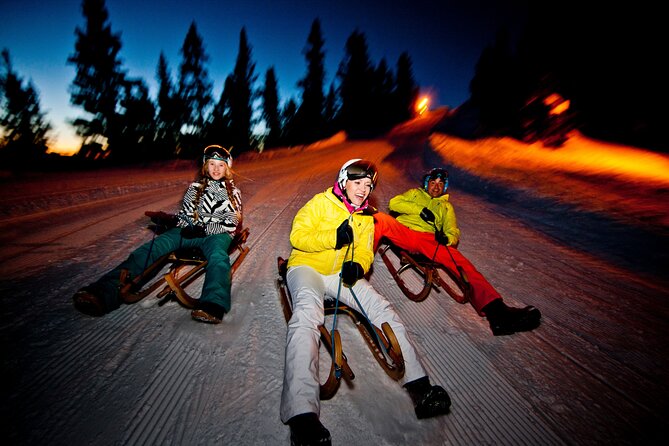 Night Sledding from Interlaken - Learning to steer a mountain sled