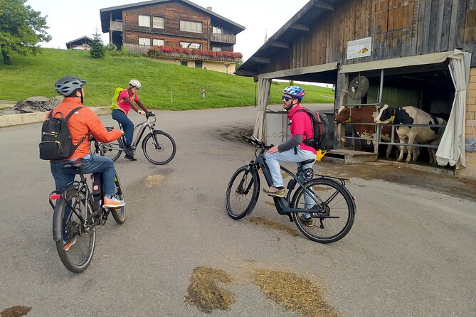 Panoramic E-Bike Tour with a Lake Cruise - Brunnen and the Swiss Army Knife stop