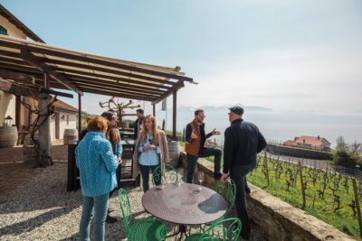 Panoramic Wine Tour From Lausanne