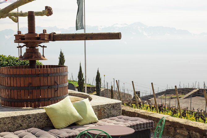 Panoramic Wine Tour From Lausanne - Who will enjoy this most