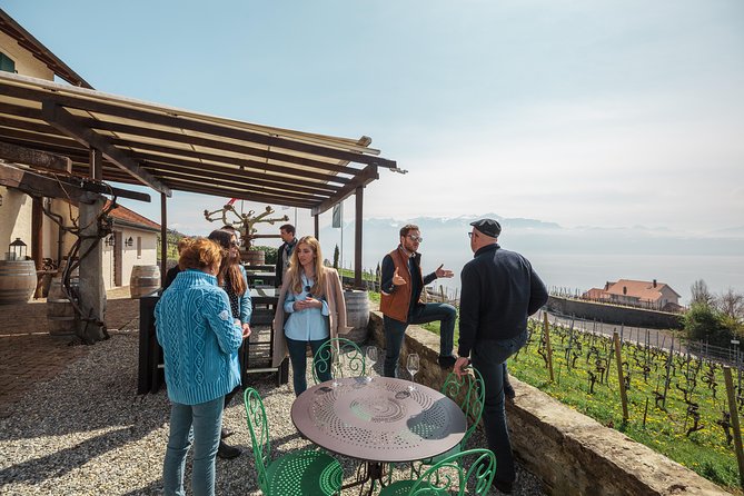 Panoramic Wine Tour From Lausanne - The panoramic ride from Montreux