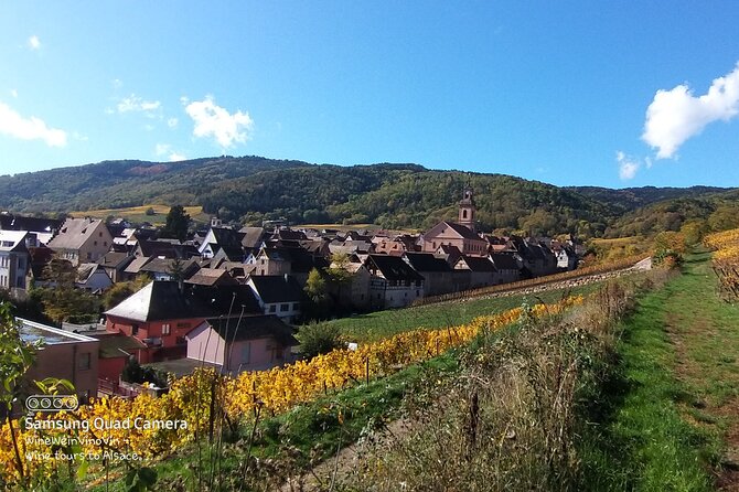 Pinot Noir & Pinot Wine Tour to Baden-Württemberg - Lunch in Ihringen, with your own bill