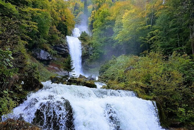 Private Day tour from Interlaken: Lake, Gorge & Waterfall - Brienz, chalets, woodcarving, and an alpine zoo