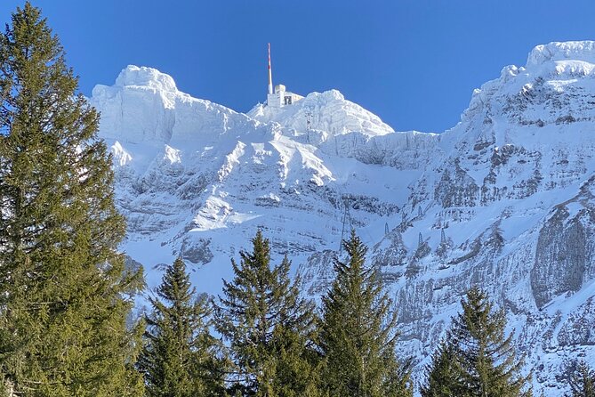 Private Guided Swiss Alps Day Trip from Zurich with Hotel Pick-Up - Why this private Zurich day trip works