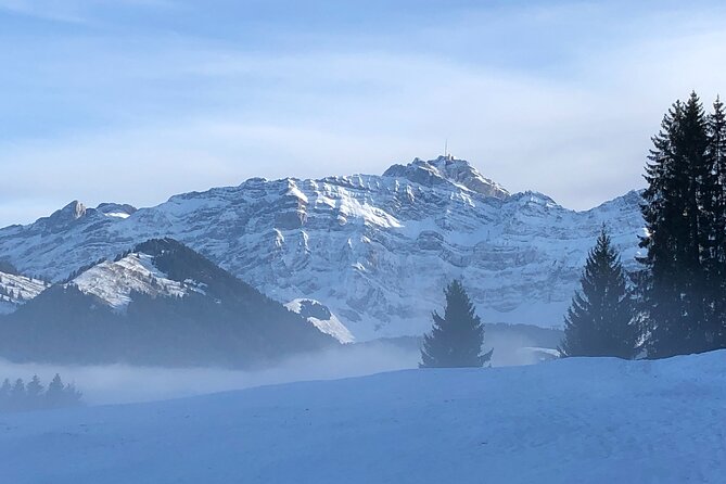 Private Guided Swiss Alps Day Trip from Zurich with Hotel Pick-Up - Time, meals, and the real pace