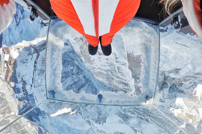 Private Tour to Chamonix Mont-Blanc Scenic Glass-Roof Bus - Who Should Book This Chamonix Tour