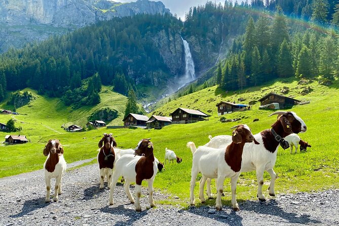 Private tour to the most breathtaking insider spots in Switzerland (1 day) - Brunnen gives you the first big panorama