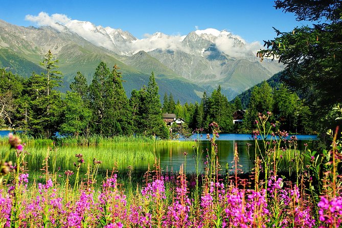 Private Trip from Geneva to Swiss Riviera Montreux & Chamonix - The ride through the Arve Valley to Chamonix