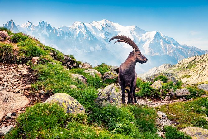 Private Trip from Geneva to Swiss Riviera Montreux & Chamonix - Small details that can make the day better