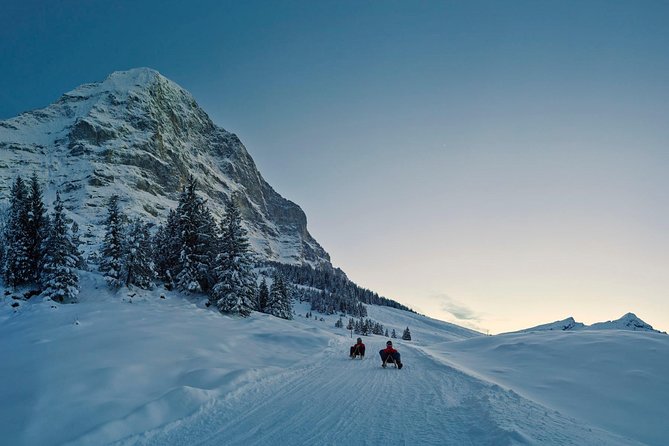 Private trip from Zurich to Jungfraujoch (The Top of Europe) - Why This Private Alpine Day Works