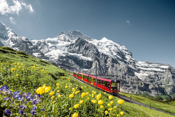 Private trip from Zurich to Jungfraujoch (The Top of Europe) - Jungfraujoch: Ice Palace, Sphinx, and High Mountain Views