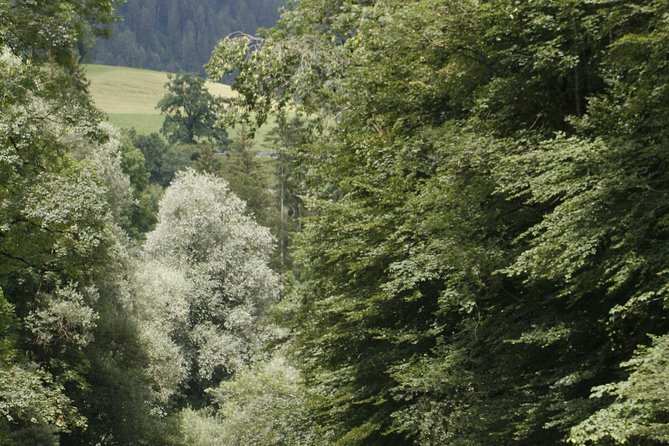 River Rafting Simme with OUTDOOR - Leaving Interlaken for the Simme Valley