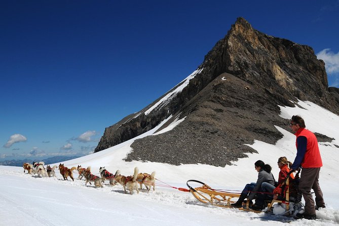Riviera Col du Pillon & Glacier 3000 from Montreux - Peak Walk, the suspension bridge, and mountain views