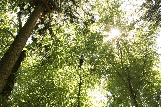 Ropes Park Interlaken - Key Points at a Glance