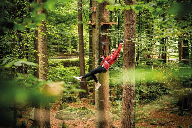 Ropes Park Interlaken - Why Families and Groups Like the Format